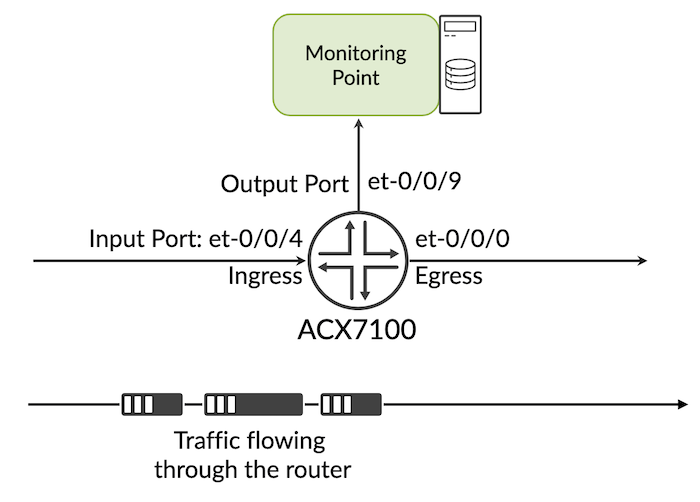 Topology Port Mirroring