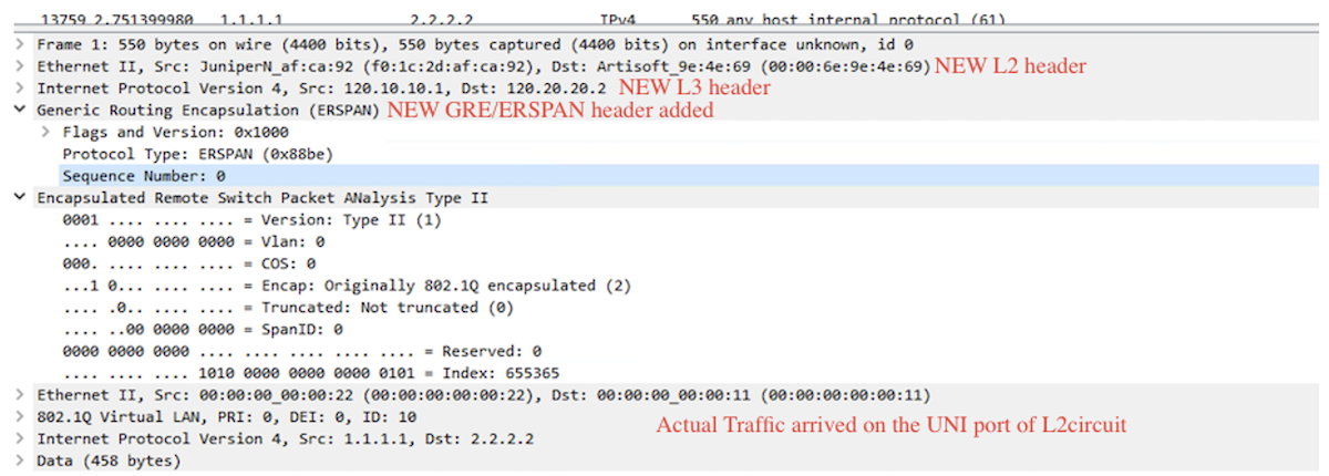 Packet capture ERSPAN
