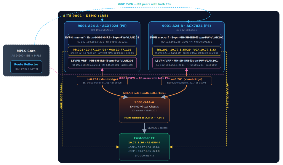 Paired L3VPN/EVPN over VLAN201 Topology