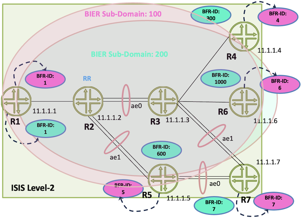 BIER Multi Sub-Domains