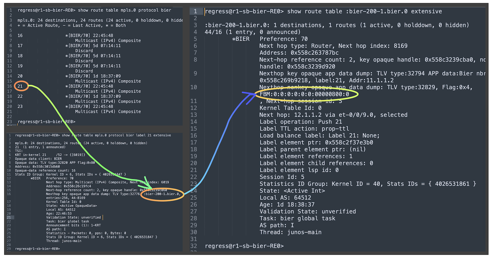 one of the BIFT Label and its subsequent table lookup