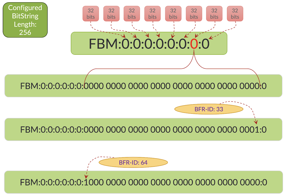 FBM 33 to 64