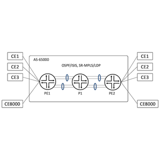 ACX7100/ACX7509 Validation: EVPN-VPWS