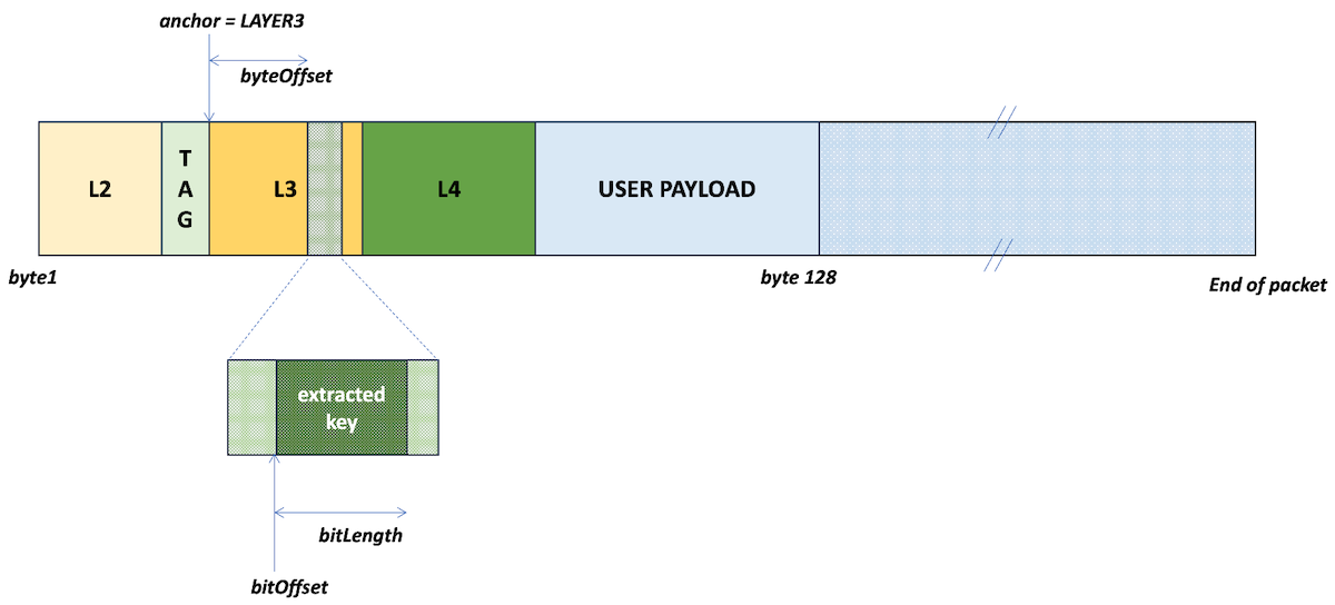 Extraction from Layer3 Header