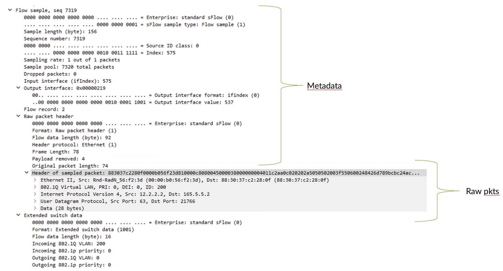 sFlow raw packets sample flow