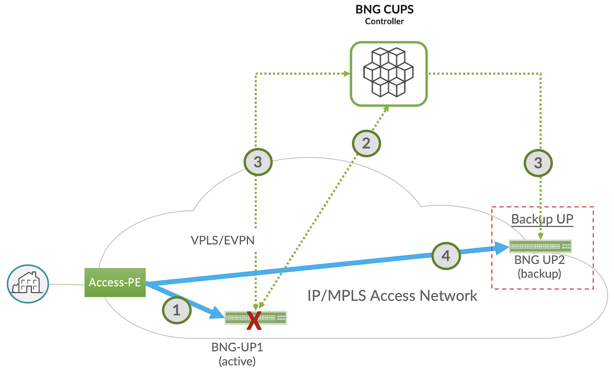 Juniper BNG CUPS subscriber high availability
