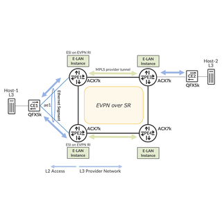 L2 Metro Ring-Access With EVPN-ELAN