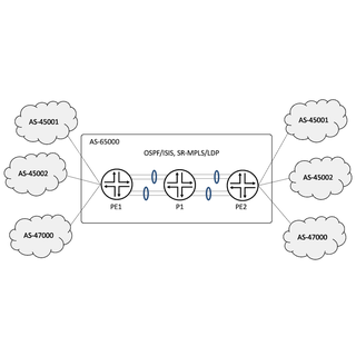 ACX7100/ACX7509 Validation: L3VPN/6VPE