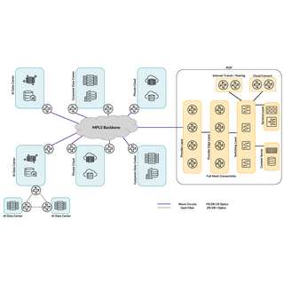 Large Enterprises WAN Landscape