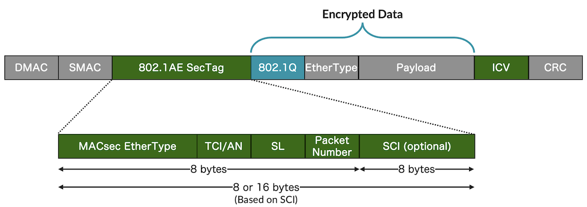 MACsec Frame and Header Structure.