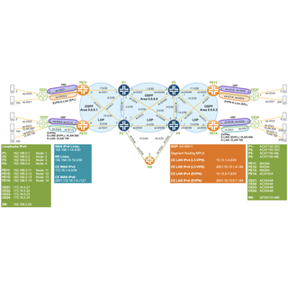 Migrating from OSPF/LDP to OSPF/SR-MPLS