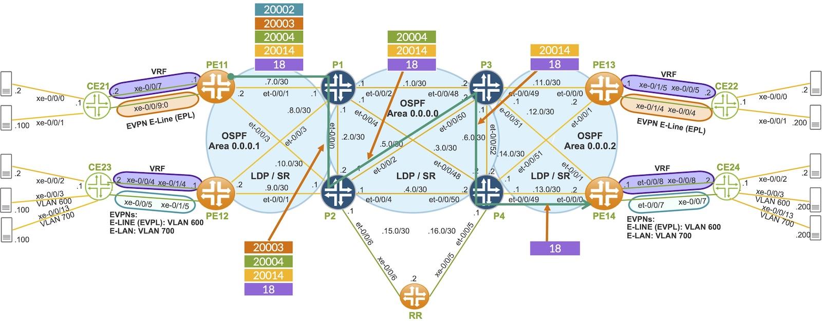 Static SR LSP Path Labels