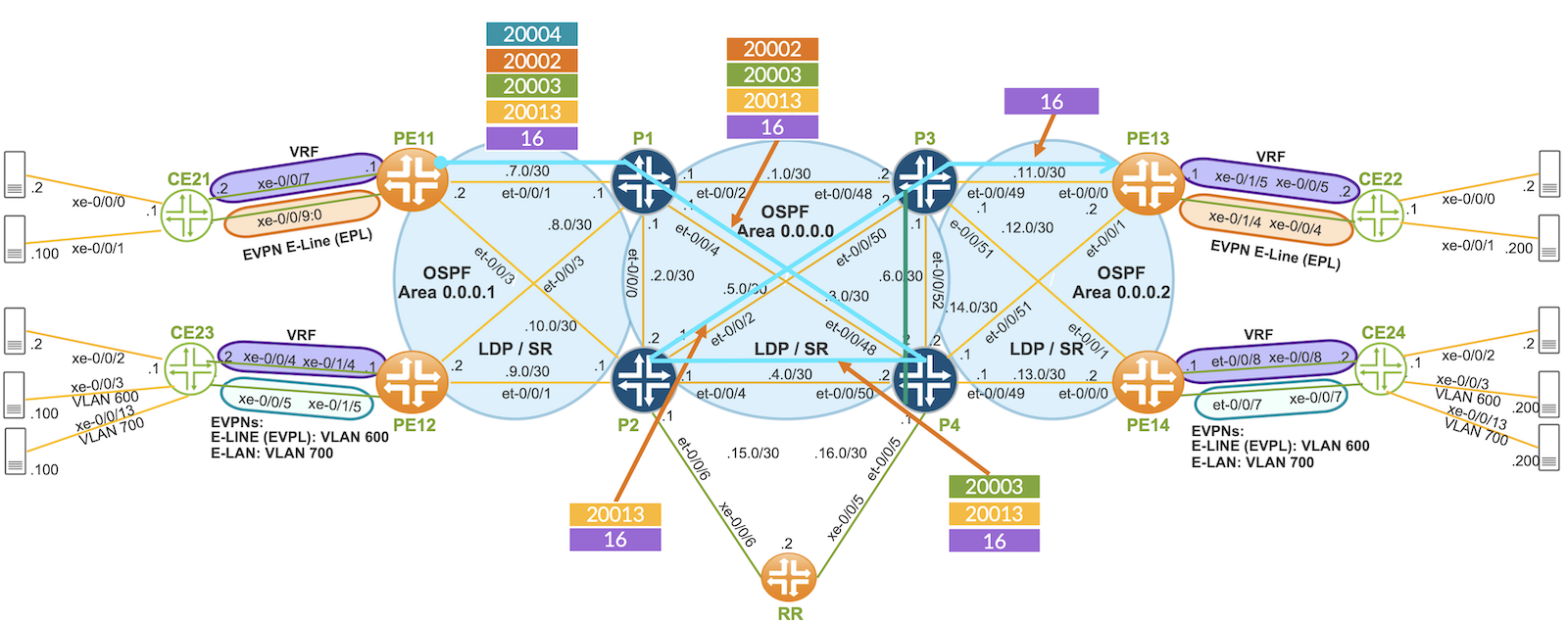 Static SR LSP Path Labels w/color