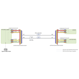 Navigating the Shadows of Dark Fiber Connectivity