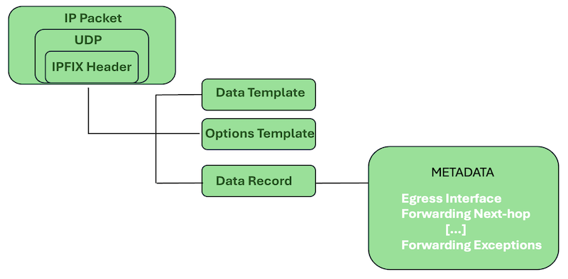 Types of packets