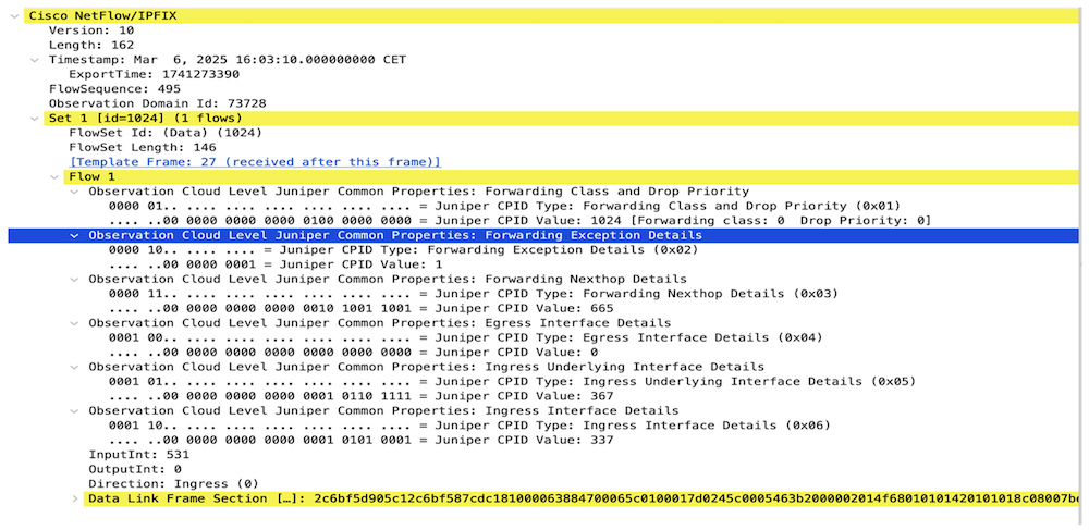 IPFIX Packet Capture