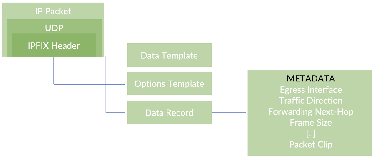 Exported Packet