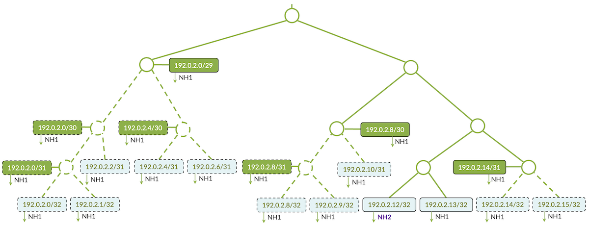 New Radix Tree after new NH injection