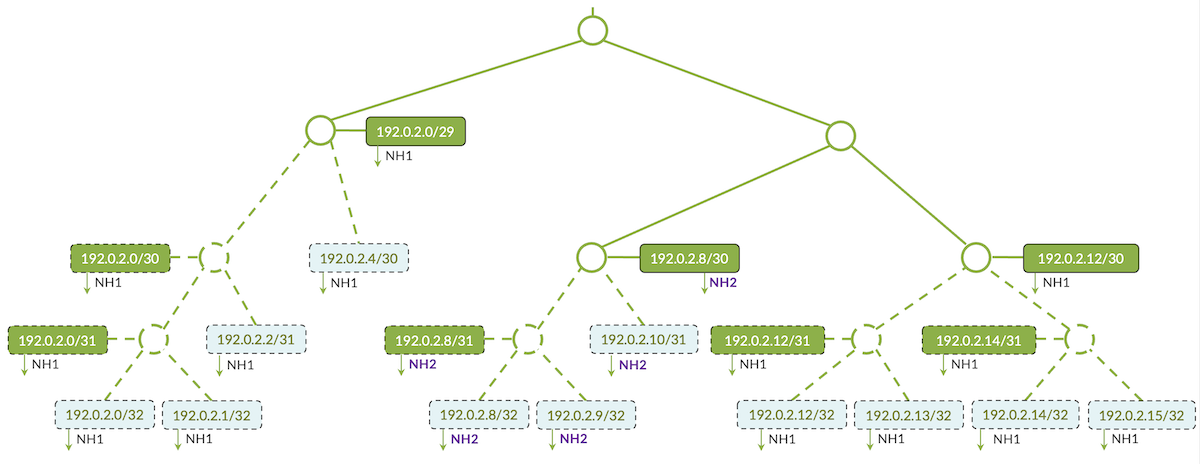 Example with Different Next-Hop Addresses