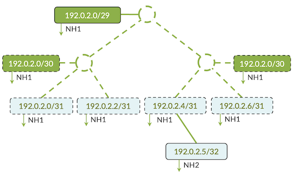 More Specific Prefix Scenario.