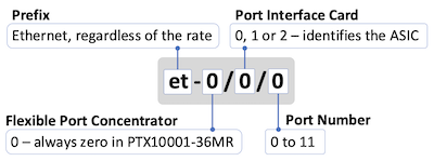 PTX10001-36MR Interface Naming.