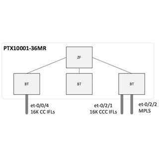 PTX10001-36MR L2 Circuit Scale