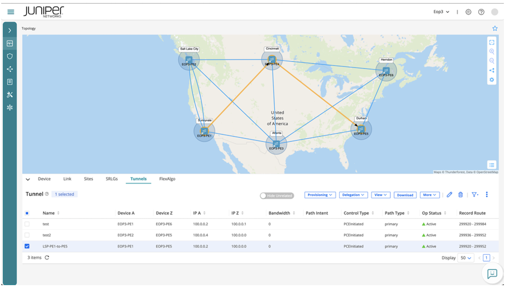 Routing Director topology view (tunnels).