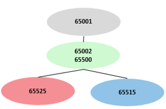 BGP Autonomous Systems View