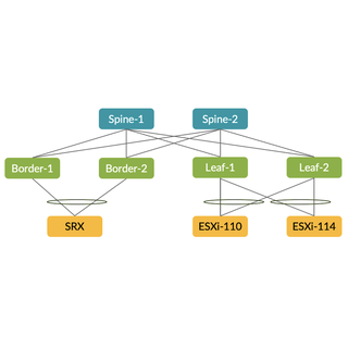 SP-style Config in Apstra Freeform for VLAN Overlap Use-Cases