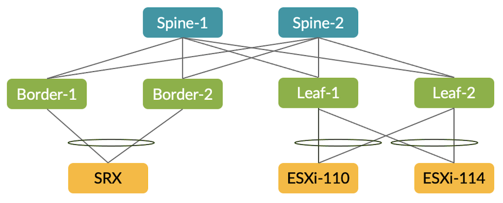 lab topology