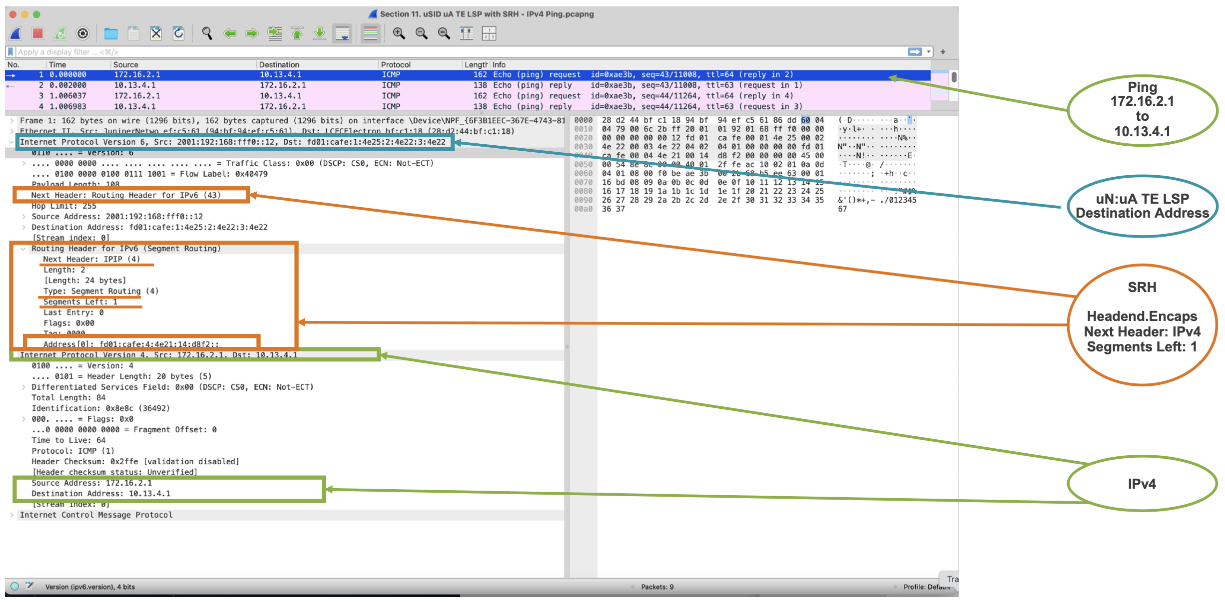 Ping Capture 1/2