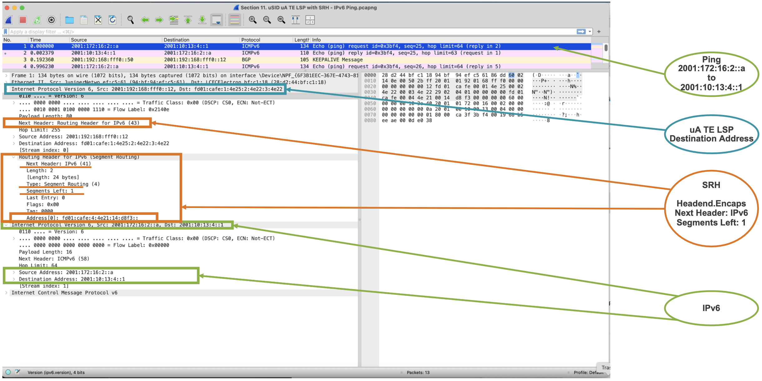 Ping Capture 2/2