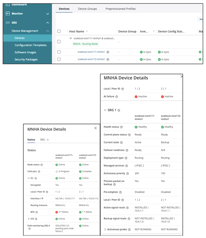 Management with Security Director Cloud/Onprem