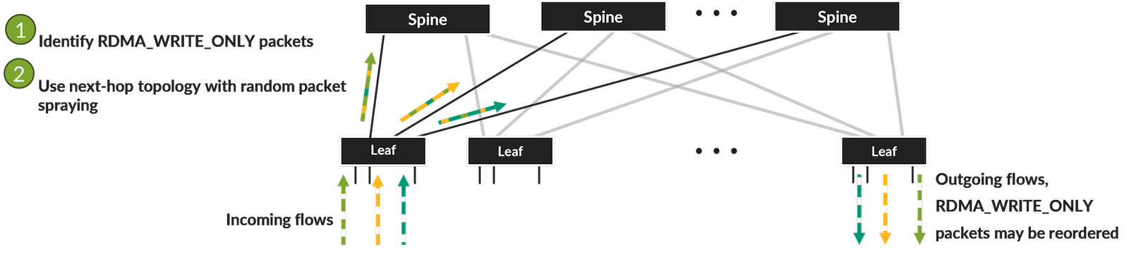 concept of the packet spraying solution